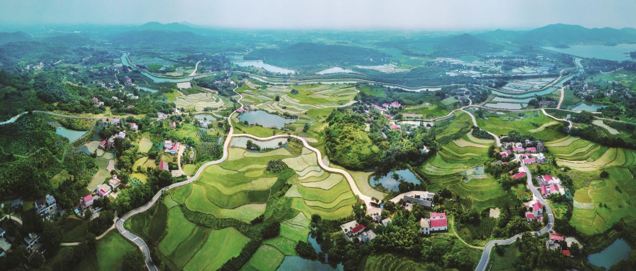 輻射村莊的合肥市農(nóng)村公路網(wǎng)。合肥市交通運(yùn)輸局供圖