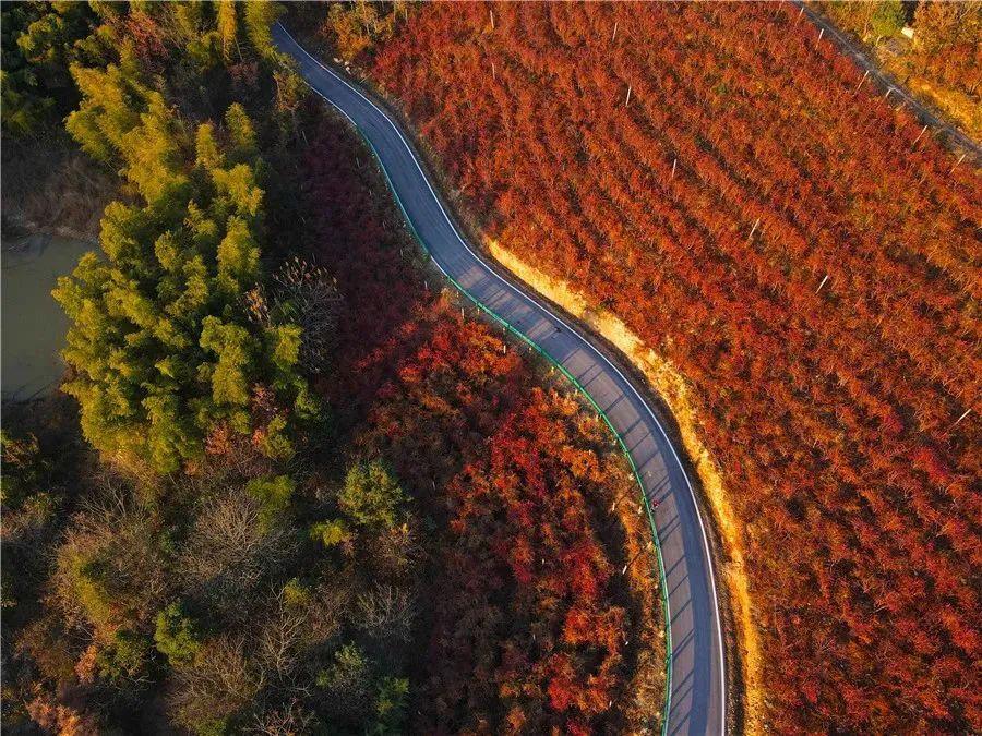 廬江縣集資源路、產(chǎn)業(yè)路、旅游路于一體的“廬南川藏線”。合肥市交通運(yùn)輸局供圖