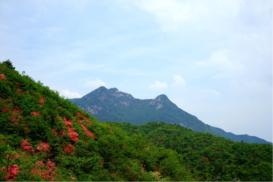 古井園國家級(jí)自然保護(hù)區(qū)風(fēng)光。岳西縣委宣傳部供圖
