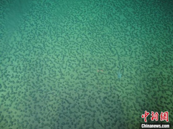 本航次科考探查的多金屬結(jié)核。中國科學(xué)院深海所/供圖