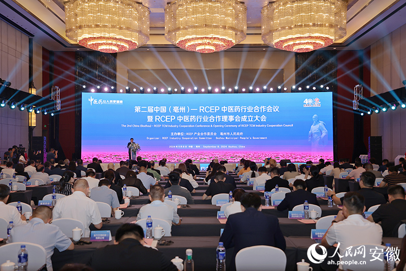 會議現(xiàn)場。人民網(wǎng)記者 王曉飛攝.jpg