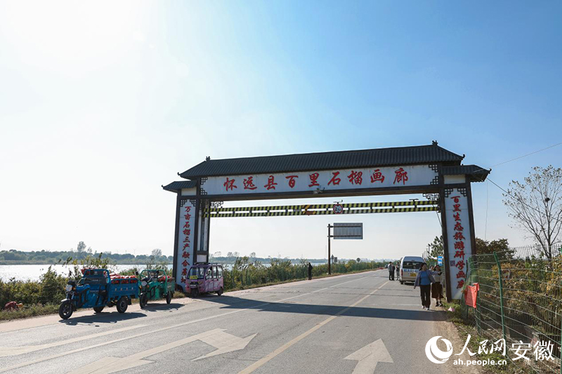 懷遠(yuǎn)縣百里石榴畫廊起點(diǎn)。人民網(wǎng)記者 張俊攝
