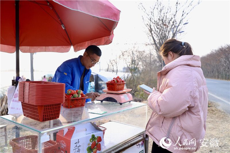 前來(lái)購(gòu)買草莓的顧客絡(luò)繹不絕。人民網(wǎng)記者 陶濤攝
